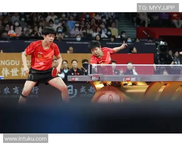 上海乒乓球队在世界杯中的个人能力展现与团队协作分析